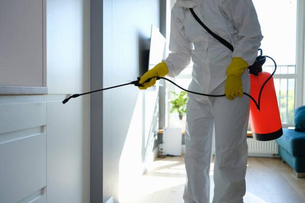 Pest control for retail spaces in Indianapolis